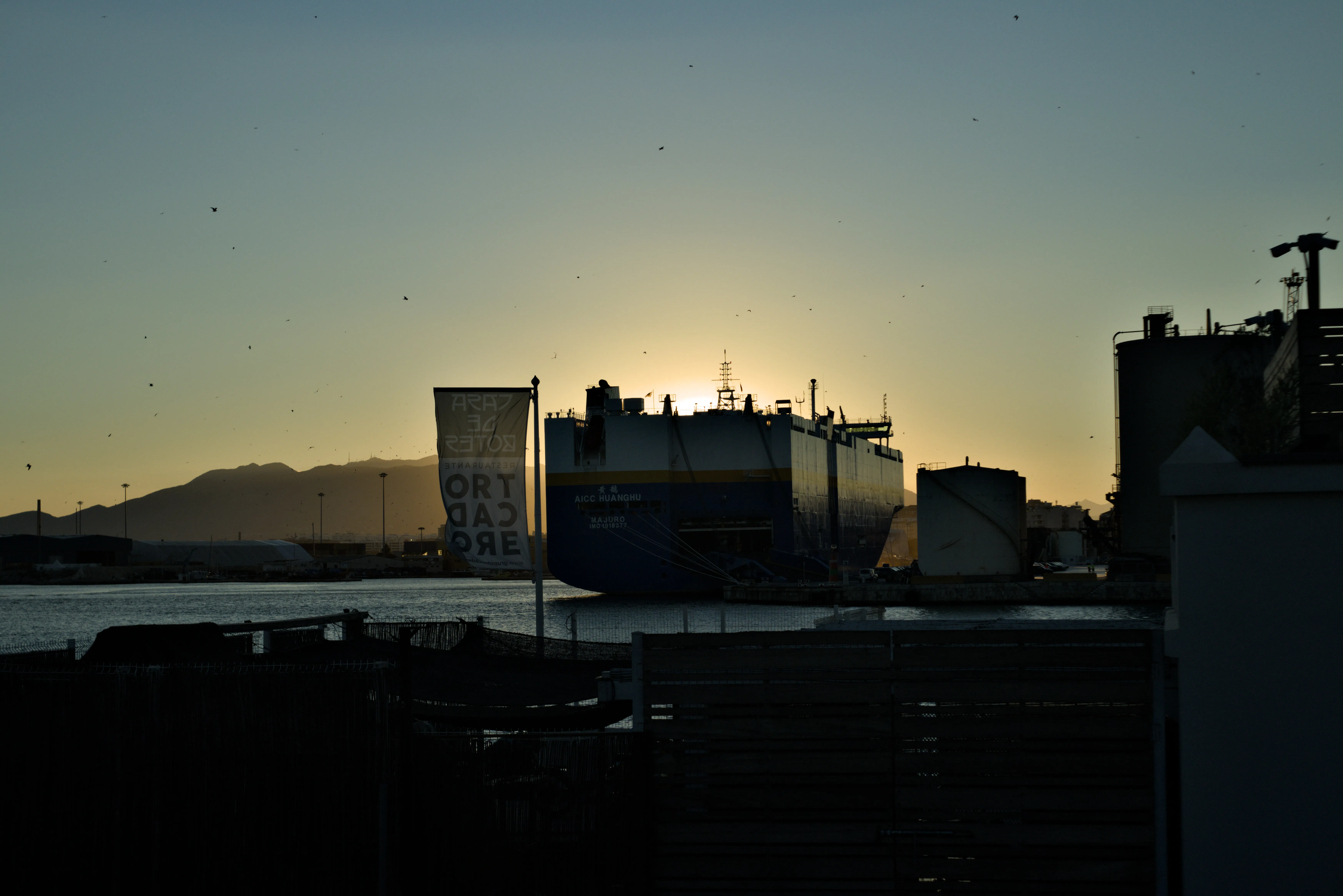 Meyer-Optik Görlitz Primagon 35mm f4.5 (M42) - _I4A2847.webp